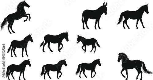 Silhouettes of diverse horses and donkeys in various poses and movements, including walking and rearing, for a farm animal and equestrian concept