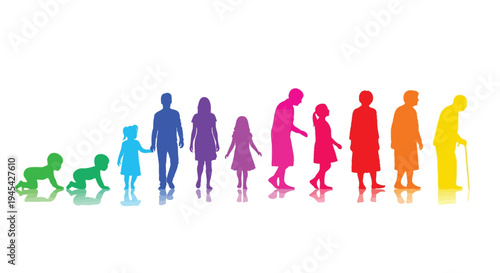 Colorful silhouettes visually represent the complete human life cycle journey from infancy through childhood adolescence adulthood middle age and advanced elderly years showing chronological developme