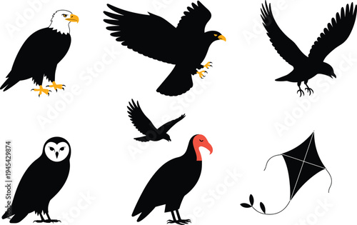 Set of predatory birds silhouettes including bald eagle, barn owl, vulture, hawk, raven, and a flying kite isolated on white. (20 words)