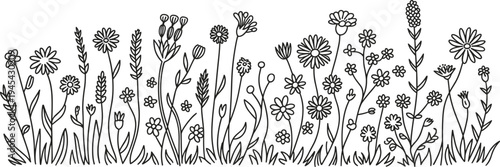 Wildflower meadow horizontal border line art, floral field sketches, summer garden plants, botanical wildflower landscape vector design