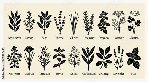 A collection of various herbs and plants, including bay leaves, rosemary, thyme, and lavender, illustrated in black silhouettes on a beige background with labels.