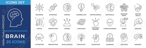 Brain icon set. Containing learning, mind, brainstorming, head, neuron, cognition, thinking, intelligence and more. Line vector icons collection.