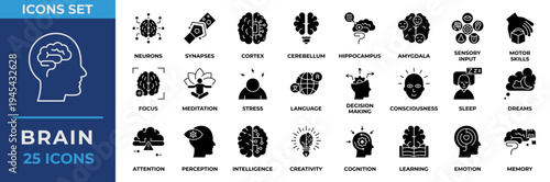 Brain icon set. Containing learning, mind, brainstorming, head, neuron, cognition, thinking, intelligence and more. Solid glyph vector icons collection.