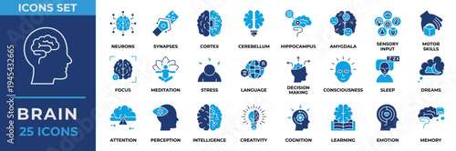 Brain icon set. Containing learning, mind, brainstorming, head, neuron, cognition, thinking, intelligence and more. Flat blue vector icons collection.