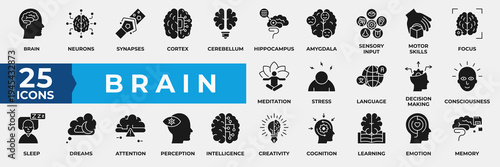 Brain icon set. Containing learning, mind, perception, intelligence, creativity, cognition, learning, emotion, memory and more. Simple solid vector Illustration.