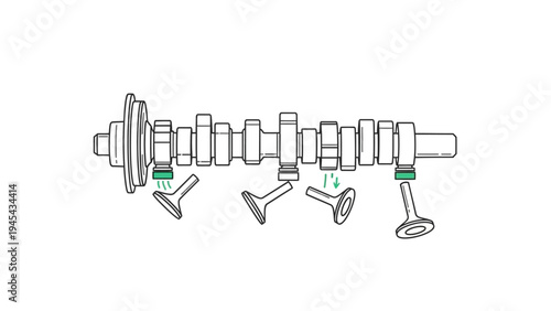 Crankshaft Disassembled with Parts and Components.