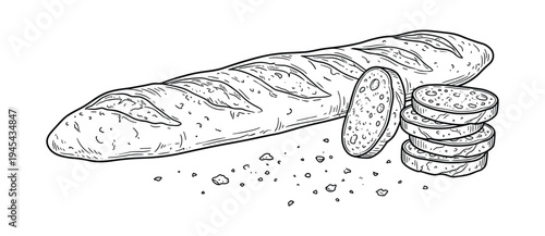 Hand drawn sketch of baguette bread loaf and sliced pieces with crumbs vector illustration