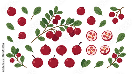 Collection of red berries with green leaves and branches for healthy food design