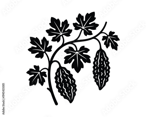 Bitter melon plant silhouette with hanging fruits and leaves