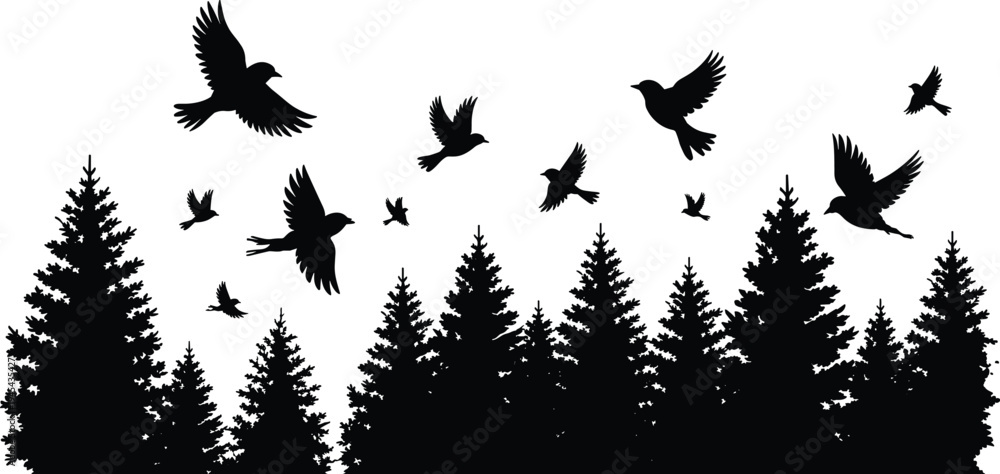 Obraz premium Pine forest landscape silhouette with flying birds, evergreen trees border, winter wood wilderness, and nature outdoor vector design
