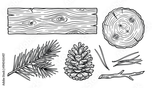 Set of wood logging items including cut lumber, pine branch, cone, and needles