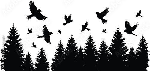 Pine forest landscape silhouette with flying birds, evergreen trees border, winter wood wilderness, and nature outdoor vector design