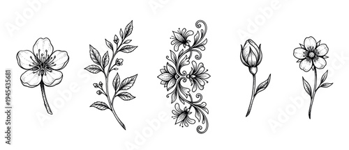 Set of five hand-drawn botanical illustrations featuring flowers, a leafy branch, and an ornamental design in a vintage black and white engraving style with detailed linework and stippling