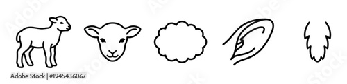 Simple black line art icon set of a lamb, sheep head, wool, ear, and fleece, featuring a clean, minimalist hand-drawn style with bold outlines for graphic design