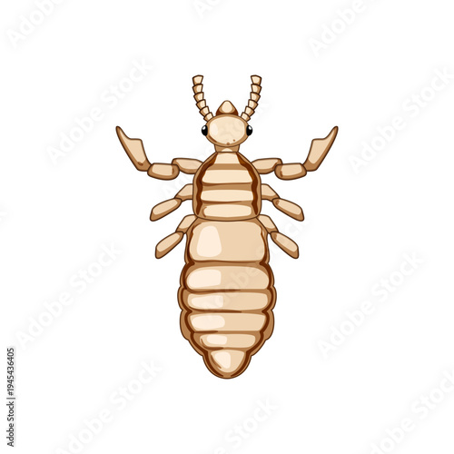 Louse insect illustration isolated on a white background, displaying its distinctive body, antennae, and legs, conveying concepts of hygiene, pest control, and health