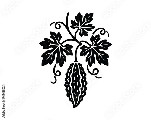 Single bitter gourd fruit hanging on vine with leaves
