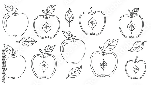 Simple line art drawings of whole apples and apple halves with seeds and leaves arranged in a clean layout for coloring or minimal design work.