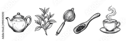 Hand-drawn tea ceremony elements set including a teapot, plant branch, strainer, wooden scoop, and steaming cup in a vintage black and white sketch illustration style