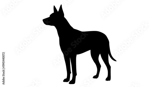 Photos Dog black silhouette standing isolated on white