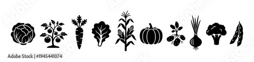 Collection of black vegetable icons showing different farm crops including cabbage, tomato, carrot, corn, pumpkin, potato, and onion in a minimalist graphic silhouette style