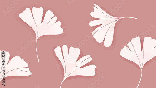 White Ginkgo Leaves on Pink Background.