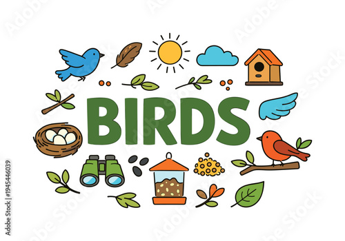 Wildlife nature concept focused on birds as important parts of ecosystems that inhabit forests, parks, and natural landscapes while representing freedom and biodiversity. BIRDS title