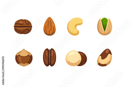 Collection of eight different types of nuts illustrated in a simple, clean cartoon style