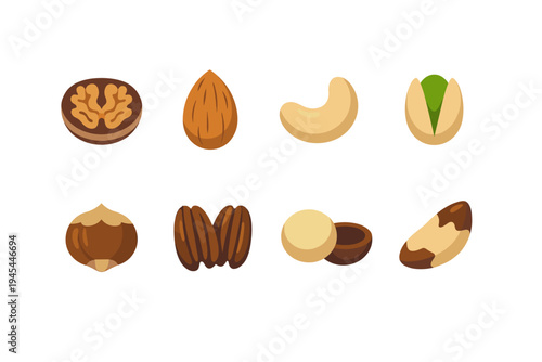 Assortment of popular nuts displayed in a clean, simple, flat design style