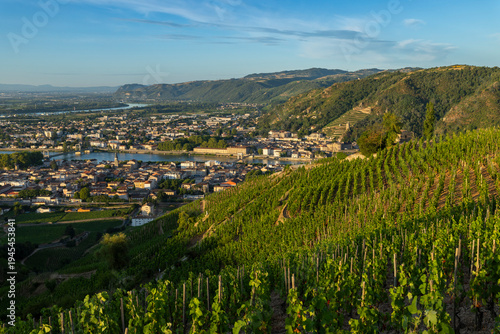 Crozes Hermitage vineyards overlooking Tain l'Hermitage and Rhone river valley