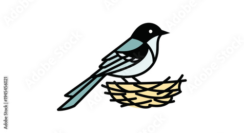 Magpie Bird Sitting on Nest Illustration.