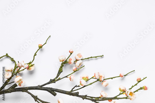 Branch of beautiful artificial cherry blossom on white background
