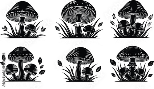 Black and white mushroom cluster illustration, stylized fungi artwork, botanical vector drawing, forest nature sketch, decorative mushroom design, organic plant motif, natural pattern