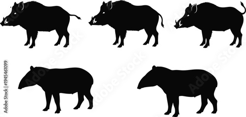 Black animal silhouette illustration set, wild boar vector artwork, tapir design sketch, stylized mammal drawing, wildlife motif, zoological animal figure, decorative nature icon