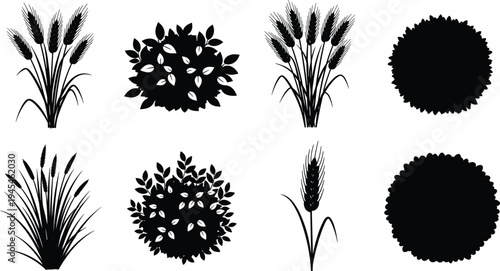 Black plant silhouette illustration set, wheat stalk vector artwork, grass cluster design, leafy bush sketch, botanical nature motif, organic foliage drawing, decorative pattern