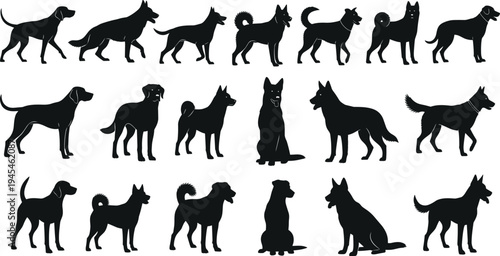 Dog silhouettes collection, multiple breed poses, standing sitting walking vector artwork, black canine anatomy illustration, domestic pet posture study, animal design comparison artwork