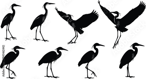 Heron silhouettes collection, elegant bird poses, flying heron vector artwork, black bird anatomy illustration, avian posture study, graceful heron design, animal movement comparison