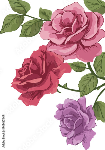 Pink rose bouquet on white background surrounded by nature and floral beauty