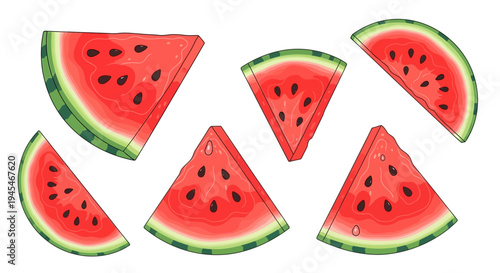 Set of 6 watermelon slices vector