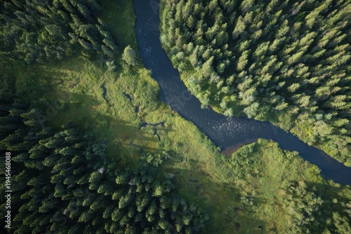 Converging Waters Amid Lush Greenery. Dynamic River Meeting Point Amidst Dense Woods And Grassy Isles