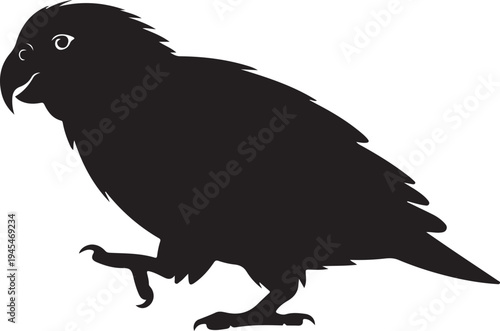 Black Silhouette of a Curious Kakapo Bird on White Background