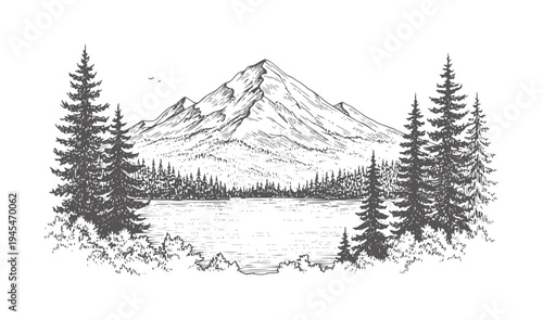 Hand drawn mountain lake surrounded by pine trees and foliage forest