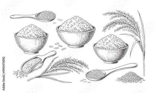 Hand drawn of rice bowls spoons and stalks grain