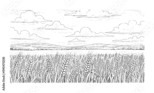 Of a vast wheat field under a cloudy sky nature landscape