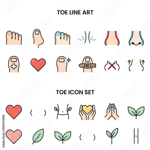 Human Toe Close Up Foot Anatomy and Health Care Concept