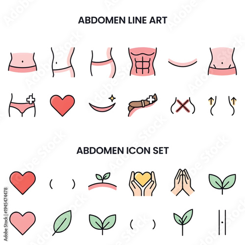 Human Abdomen Close Up Anatomy and Health Concept