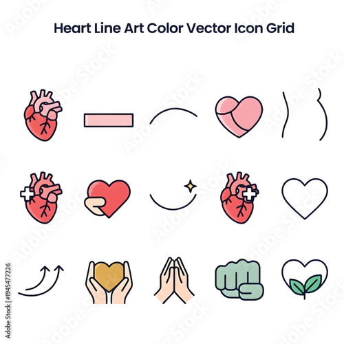 Human Heart Anatomy Medical Illustration of Cardiovascular System Isolated