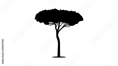 Stone Pine  symbol, black isolated silhouette