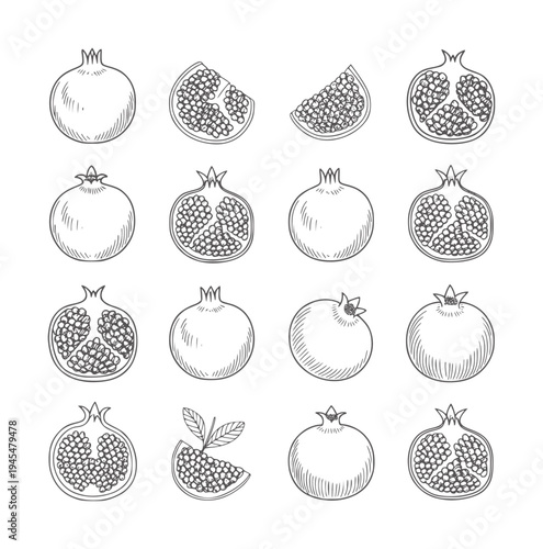 Black and white line of whole and sliced pomegranates fruit seeds