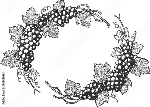 Grape vine wreath frame with clusters and leaves vintage botanical circle border design