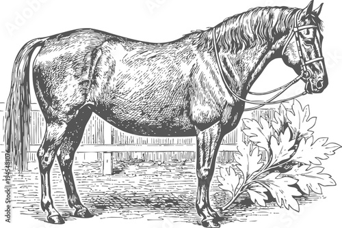 Illustration of a horse with bridle standing beside a large oak leaf in a rustic farm setting